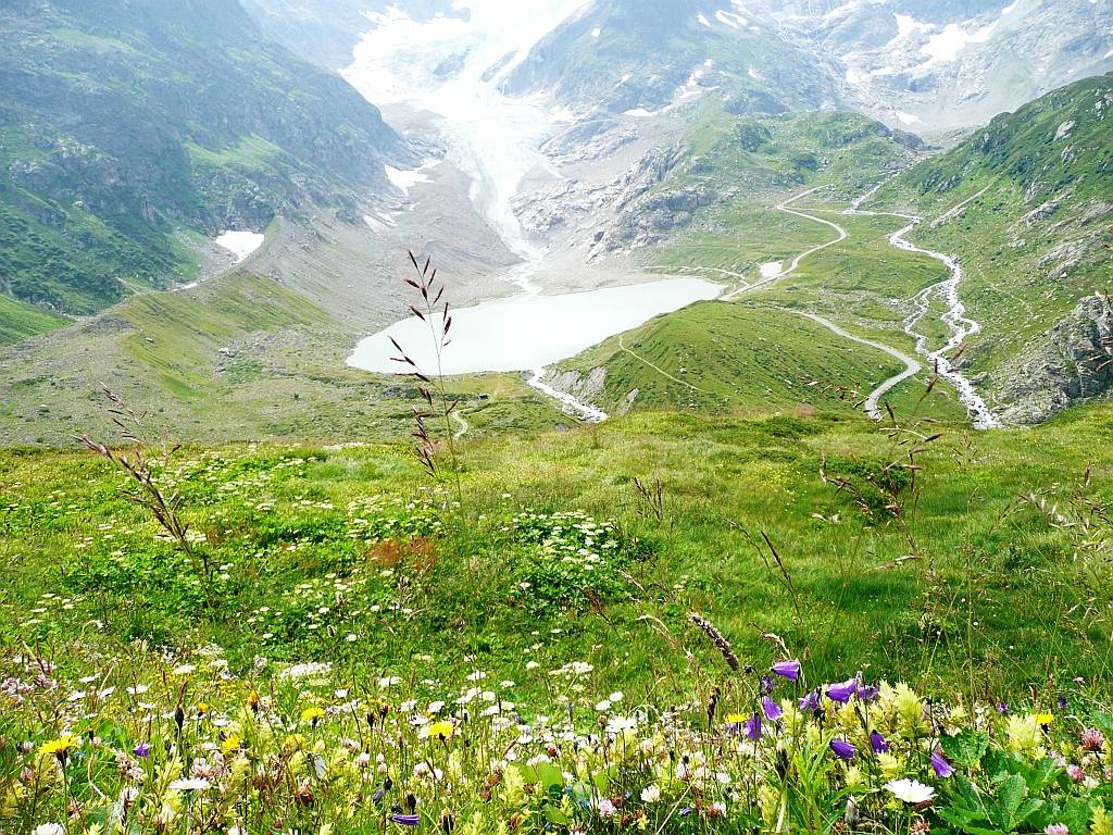 11 Am Sustenpass_31-07-2009.JPG